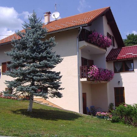 Guesthouse Hodak Selište Drežničko Extérieur photo