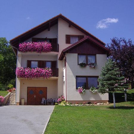 Guesthouse Hodak Selište Drežničko Extérieur photo