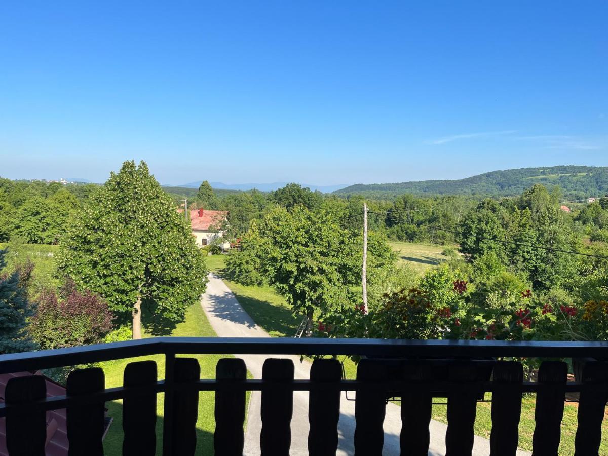 Guesthouse Hodak Selište Drežničko Extérieur photo