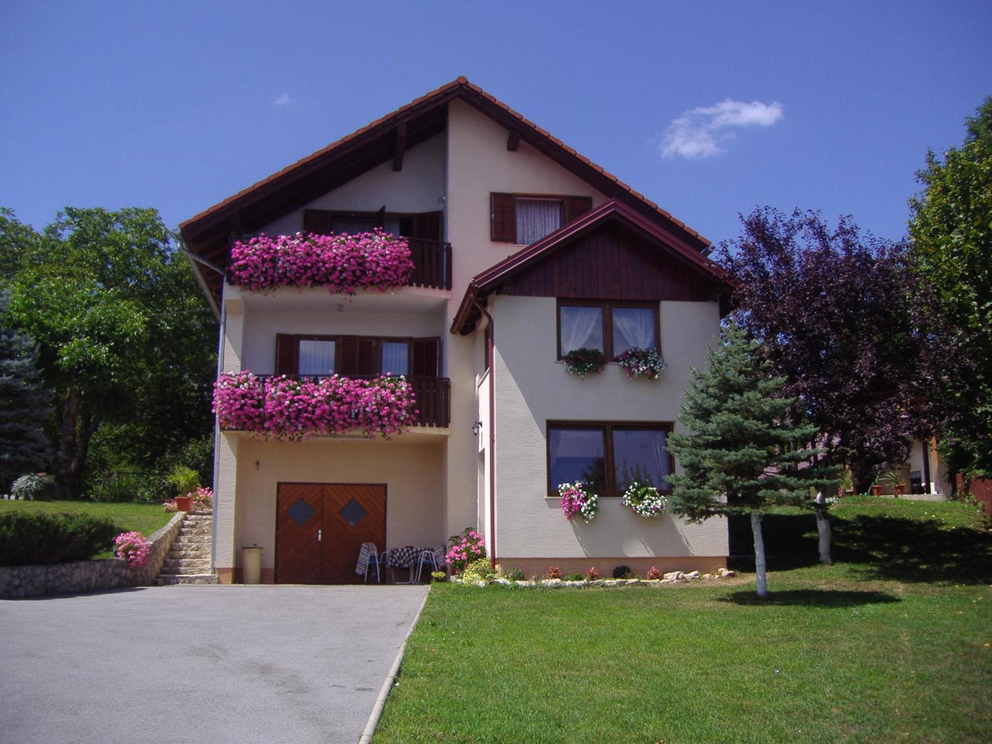 Guesthouse Hodak Selište Drežničko Extérieur photo